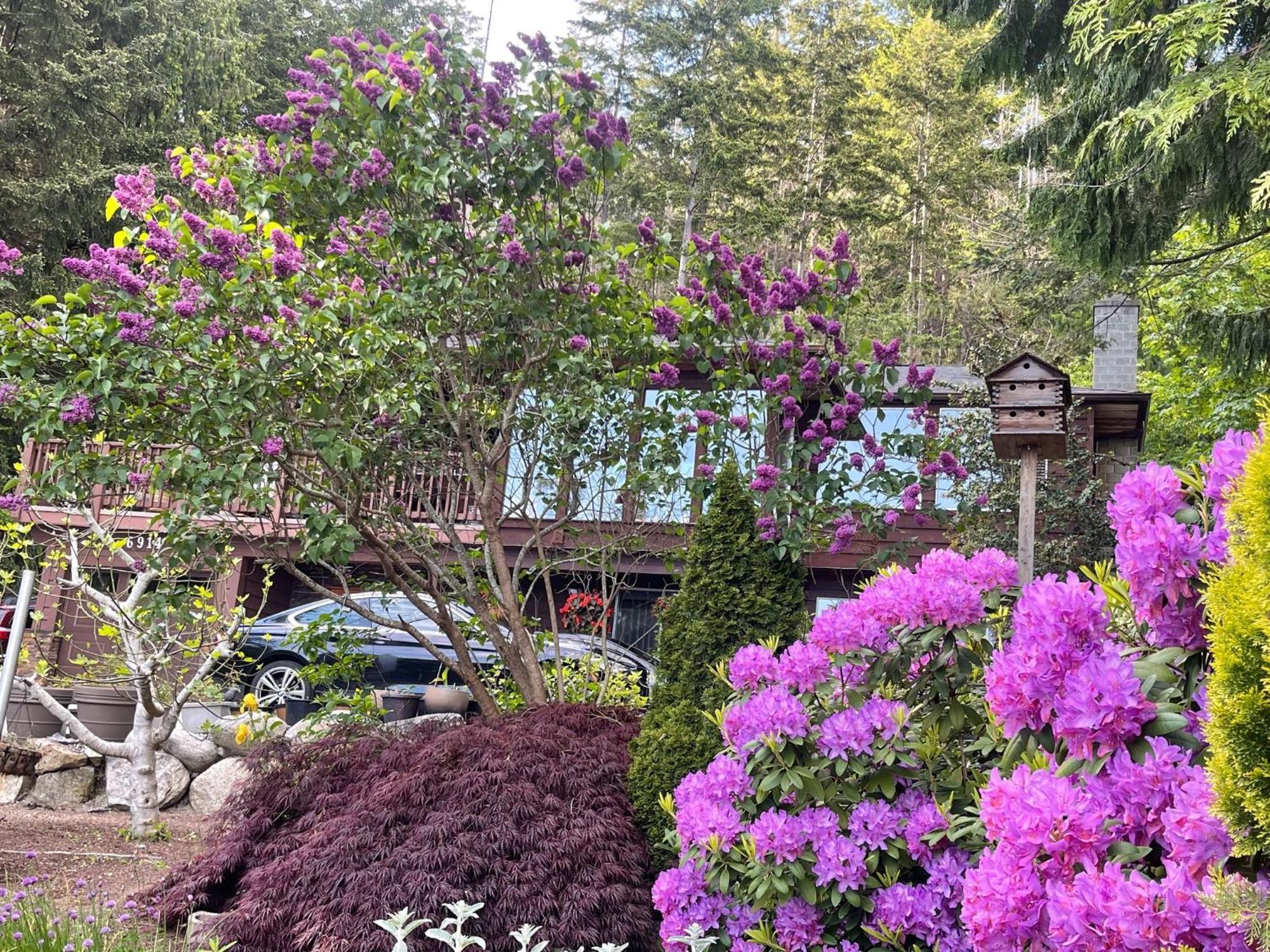 Вилла Garden Bridge House Сешелт Экстерьер фото